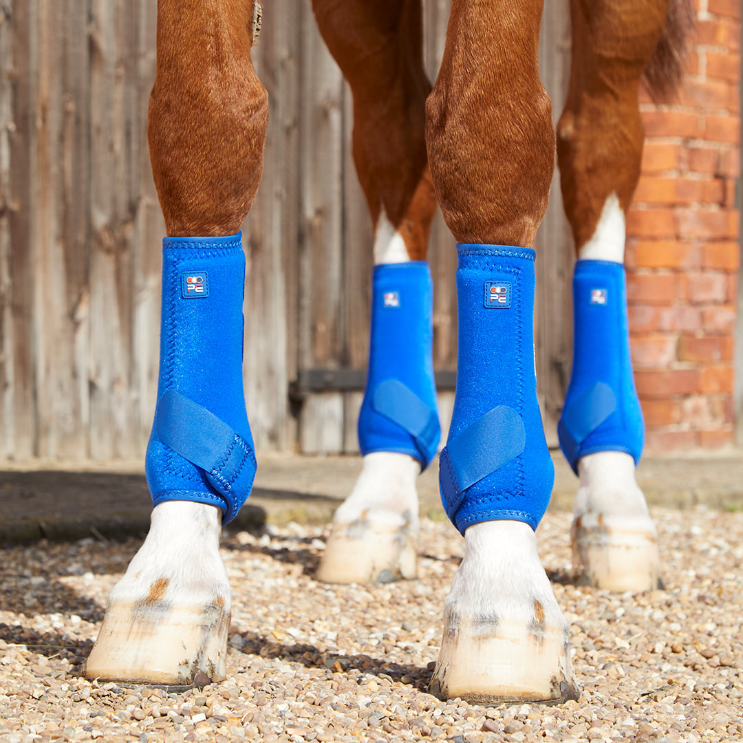 Hock boots for hot sale horses australia