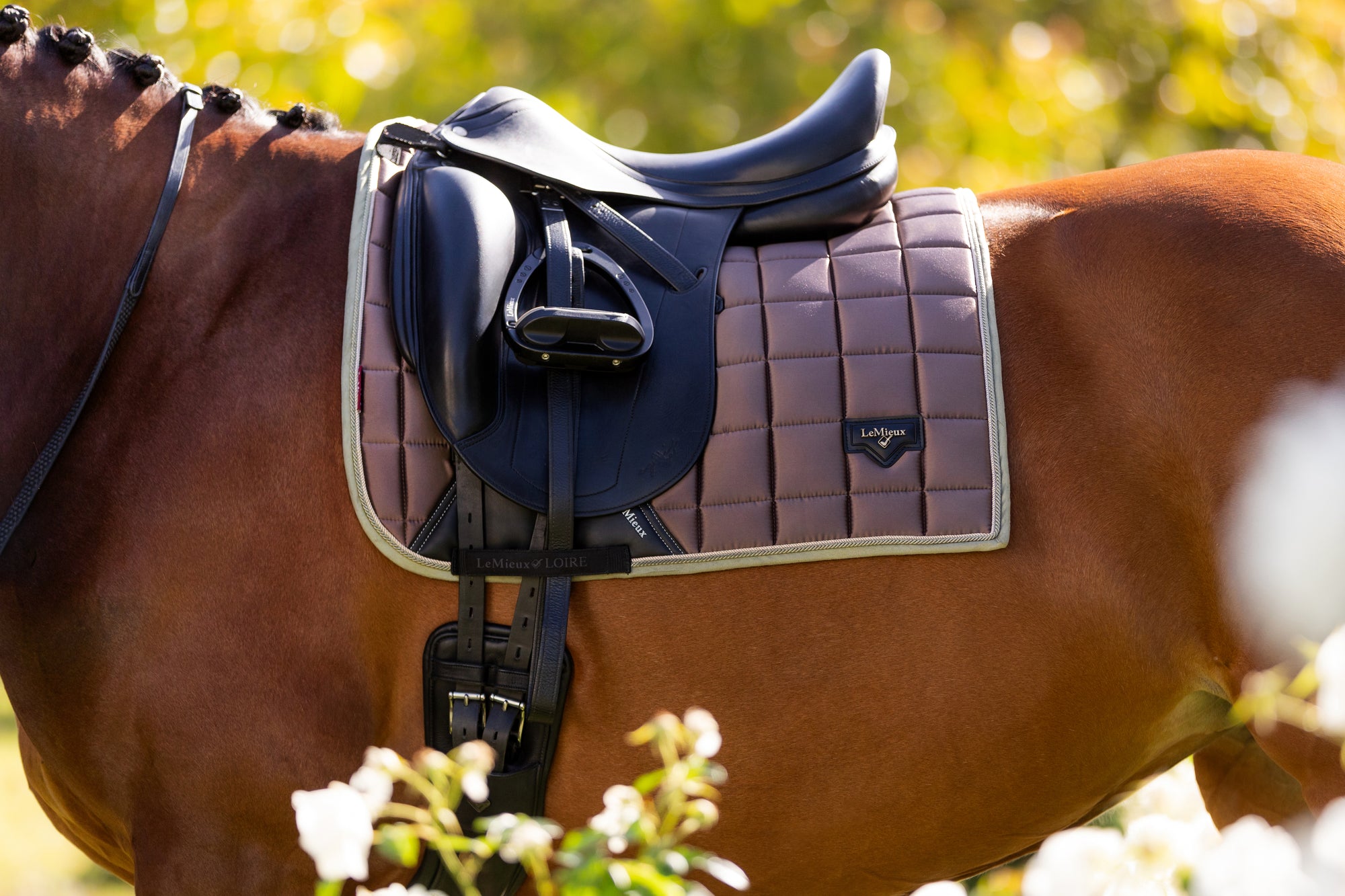 Lemieux Walnut Collection Saddle Pad