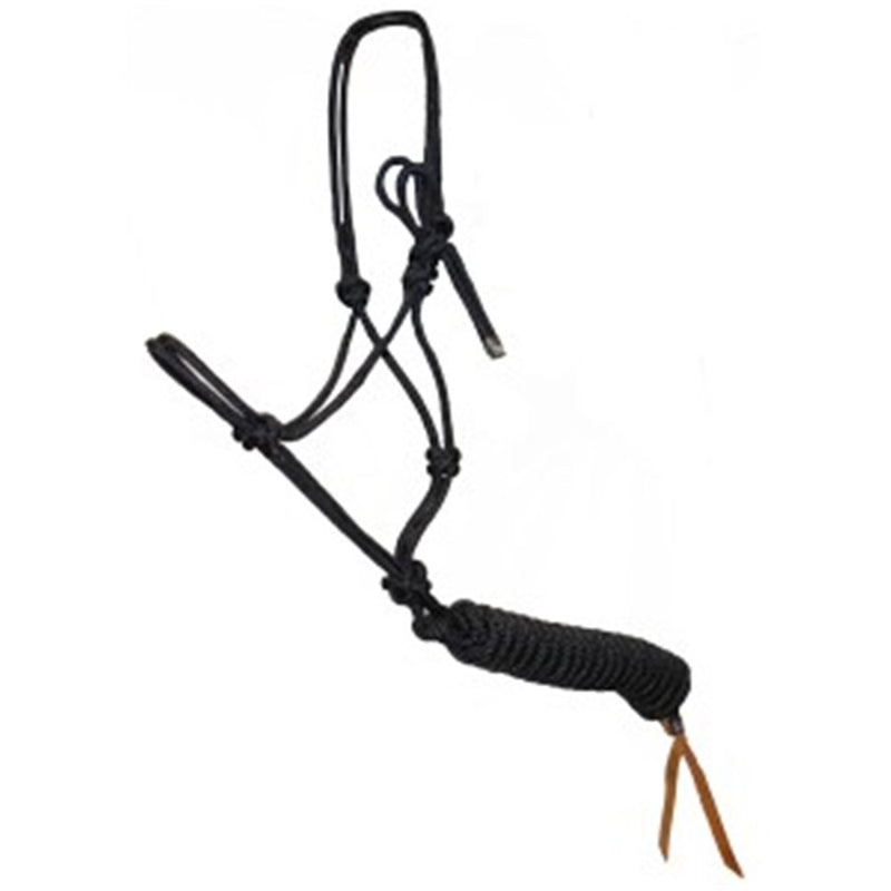 Horsemaster Training Halter & Lead Set