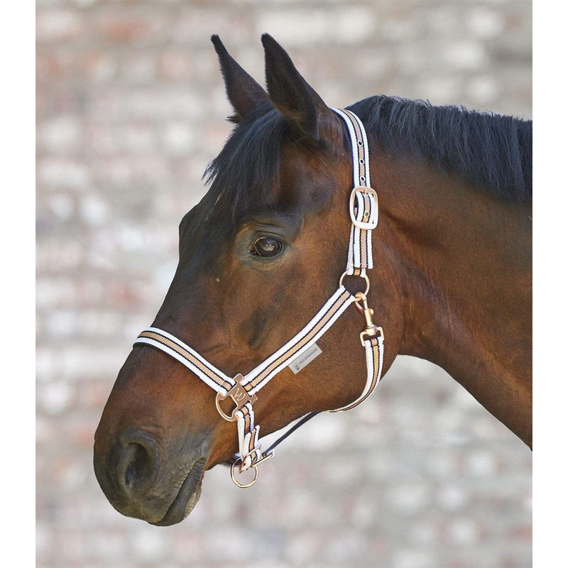 ELT HALTERS & LEADS COB / WHITE Elt Rosegold Shine Halter