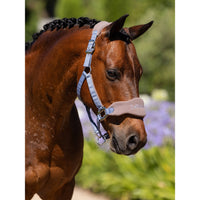 LEMIEUX HALTERS & LEADS LeMieux Vogue Halter & Leadrope Set in Jay Blue