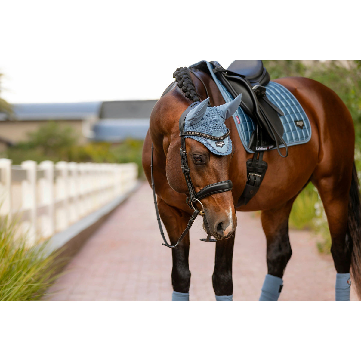 LEMIEUX SADDLEPADS & NUMNAHS LARGE / ICE BLUE LeMieux Classic Loire Dressage Saddle Pad in Ice Blue